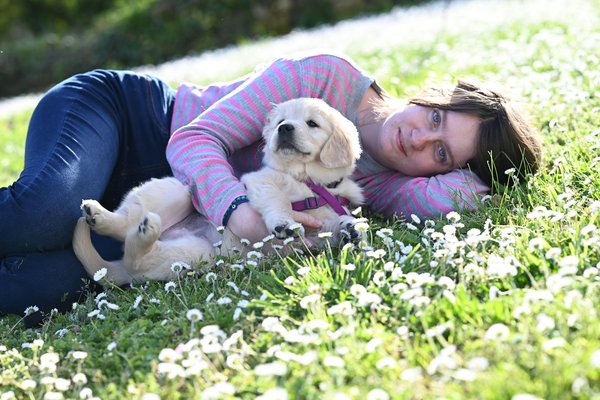 Jouets pour chiens destructeurs : résistez à leurs mâchoires !